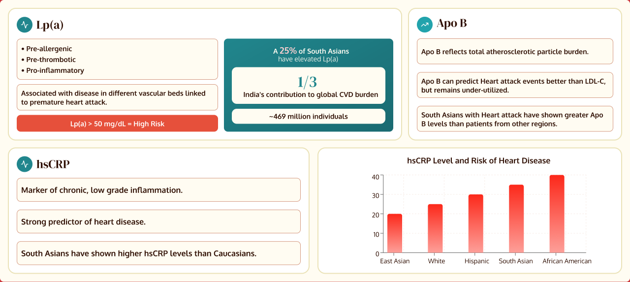 Biomarkers for heart — Lp(a), Apo B, and hsCRP risk factors for South Asians